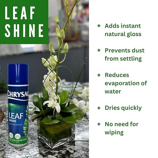 Chrysal Leafshine 5.6 oz Spray for Indoor Plants – Flower Arrangement Spray for Bouquets, House Plants & More – Environmentally Safe Dust Remover & Leaf Cleaner (3 Pack)