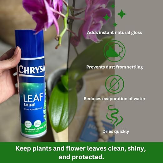 Chrysal LeafShine Spray for Indoor Plants - 5.6 oz