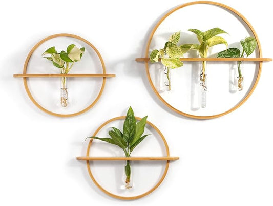Propagation Stations - Set of 3 Bamboo Wall Planters for Indoor Plants | Propagation Wall Hanging with 5 Glass Plant Propagation Tubes | Plant Propagation Station Wall Vase