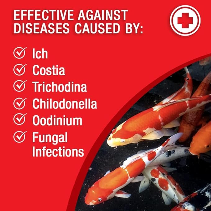 MICROBE-LIFT BSDTG1 Broad Spectrum Disease Treatment for Ponds and Outdoor Water Gardens, for Live Koi Fish, Goldfish, Plants, and Decor, 1 Gallon