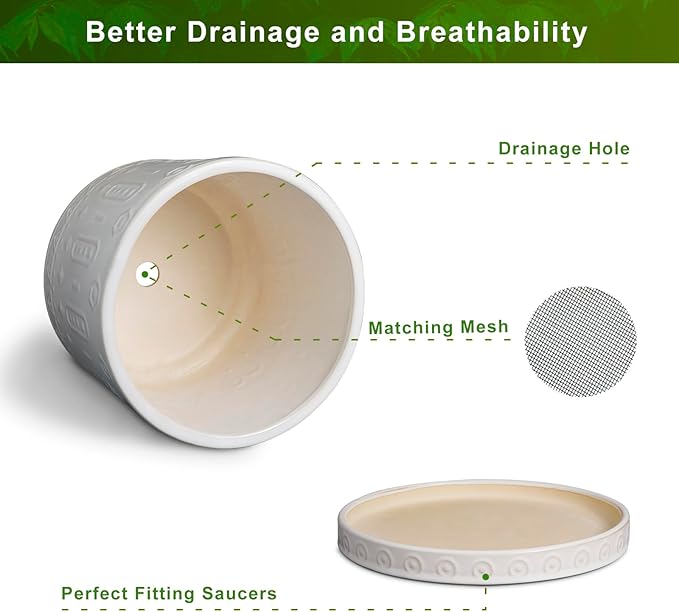 Pot for Plants 6 Inch - Ceramic Planter for Indoor Plants Decorative Plant Pot with Drainage Holes and Saucer Outdoor Flower Pot Modern Succulent Pot for Office Desk Decor White