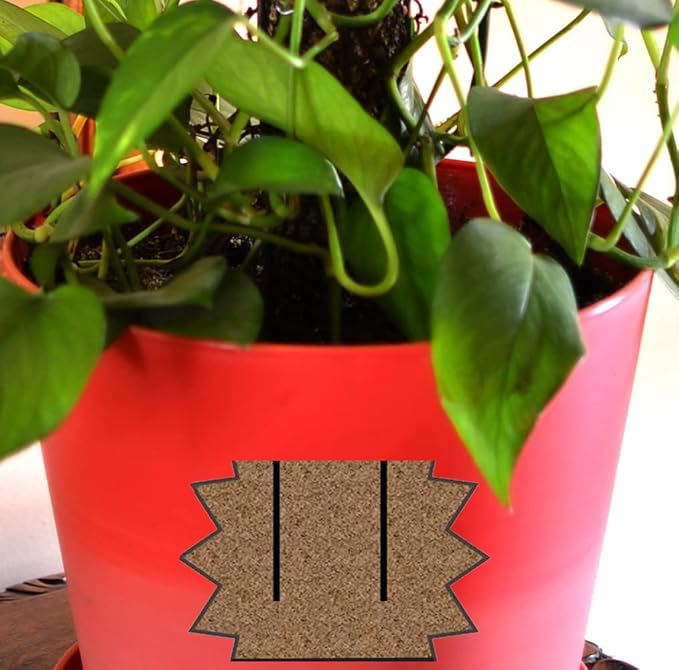 Mosser Lee Sphagnum Moss Pole for Indoor Plants, Monstera Moss Pole, Plant Pole Made in USA - Ideal for Climbing Plants, Enhances Plant Growth & Stability - 18" Height