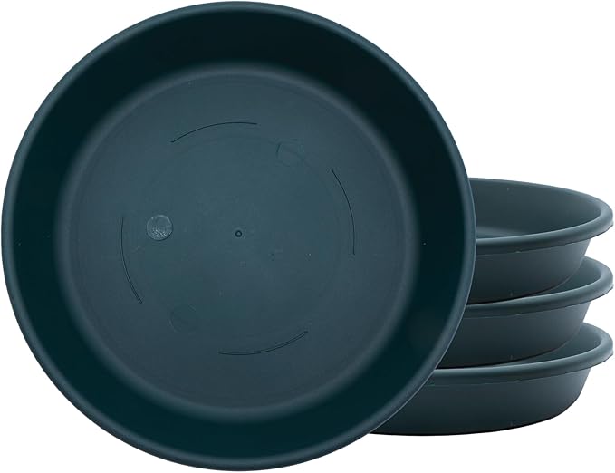 The HC Companies Flower Pot Saucers - Plastic Plant Saucer for Outdoors & Indoors - Traditional Design Plant Pot Trays for Water Drainage - Durable & Stylish Round Plant Tray (6-inch Evergreen)