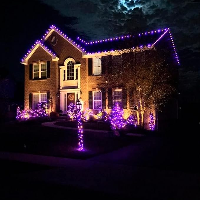 FUNPENY 164FT 500 LED Halloween Lights, 8 Modes Waterproof Plug in String Lights for Halloween Indoor Outdoor Yard Party Wedding Garden Home Decorations (Purple)