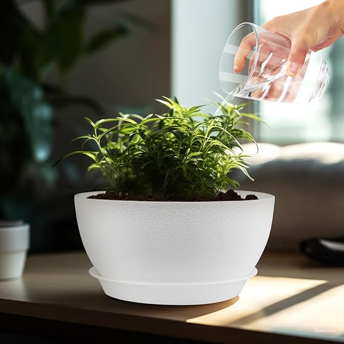 10 inch Plant Pots Pack of 2, Plastic Planter with Drainage Holes and Saucers, Plant pots for Indoor Outdoor Use, Flower Pots for All House Plants (White)