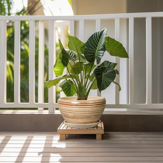 Ceramic Pot for Plants 11 Inch - Planter for Outdoor Plants Indoor Plant Pot with Drainage Hole and Saucer Large Planter Round Flower Pot for House Patio Garden Yellow