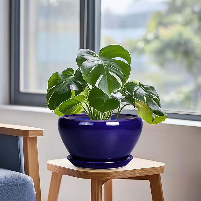 Planter for Indoor Plants 9 Inch - Ceramic Plant Pot for Indoor Plants Round Planter Outdoor Flower Pot with Drainage Hole and Saucer for Home Office Patio Decor Blue