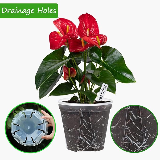 40Pack Clear Nursery Pots with Trays,4/5/6/7 inchTransparent Plastic Plant Pots with Drainage Hole for House Plants, Herb, Flower, Succulent and Outdoor Clearance,100 pcs Plant Labels,5-Set