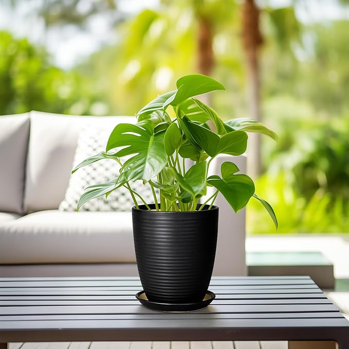 Ceramic Plant Pot - 8 Inch Ceramic Planter for Indoor Plants Glazed Round Flower Pot with Drainage Hole and Saucer Black