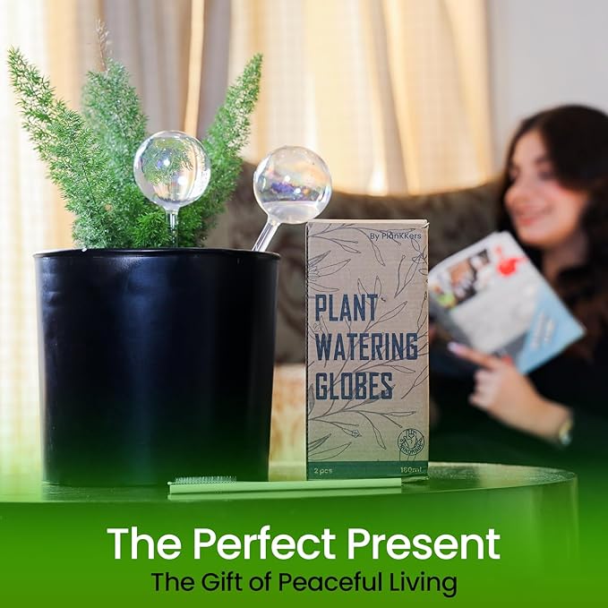 Large 2 Pcs Iridescent Self Watering Globes, Glass Rainbow Plant Watering Globes, Self Watering Planter Insert, Automatic Plant Waterer Indoor, Plant Watering Devices, Plant Water Globe, Watering Bulb