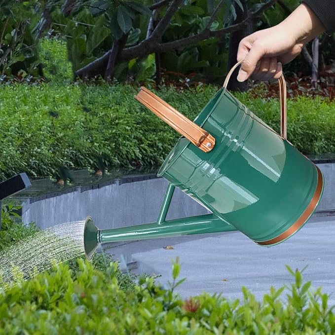 Metal Watering Can for Outdoor and Indoor Plants, Watering Can Decor, 1 Gallon (1 Gallon Green2)