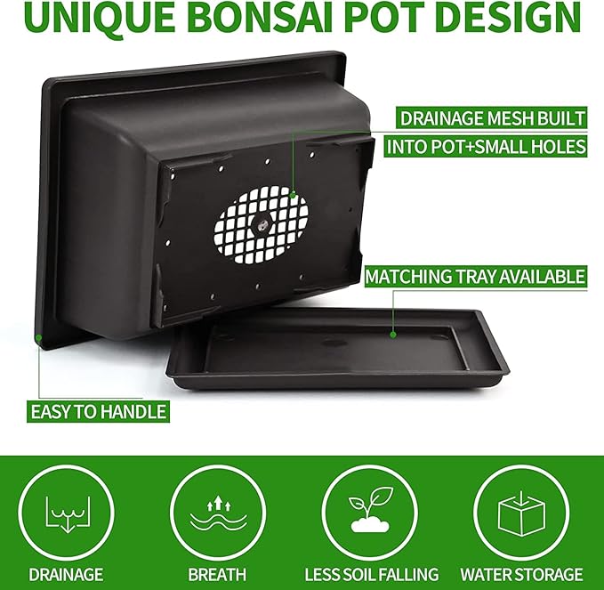 Bonsai Tree Kit with Complete Plant Growing Tools, Grow in Pot Indoor Bonsai Tree Starter Kit, Home Gardening DIY Gift for Adult