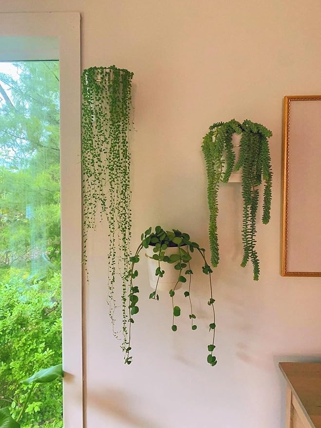 Wall Planters for Indoor Plants 3 Pack 6 Inch Flower Pot Holders Metal Ring with Self Watering Pots Wall Hanging Planters Gold-White