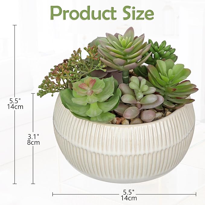 DILATATA Artificial Succulent Plants in Pot 5.5 Inch Fake Succulents Arrangement Potted Plant in White Ceramic Planter Bowl for Home Office Desk Shelf Living Room Bedroom Bathroom Decor