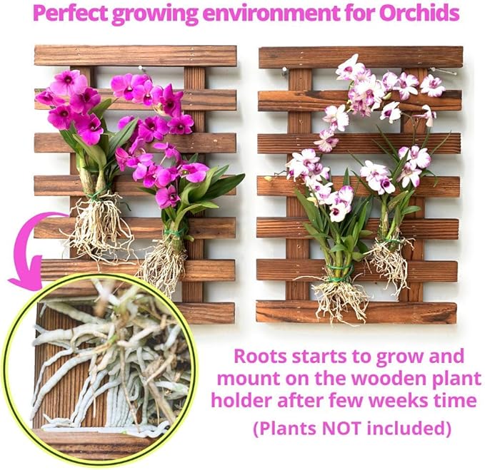 ShopLaLa Wall Planters - 4 Pack Wooden Hanging Planter for Indoor Outdoor Plants, Air Plant Succulent Orchid Holder, Live Vertical Garden Wall Mounted Plant Stand, Wall Christmas Decor 15.7" (40cm)