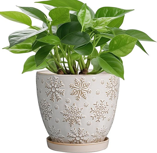 6 Inch Plant Pot with Drainage Hole and Saucer Ceramic Planter for Indoor Plant Flower Pot for Orchid Succulents Plants White