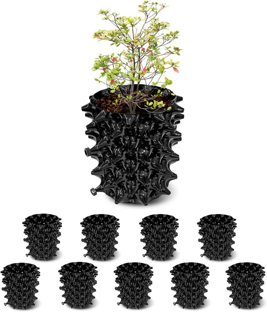 1 Gallon Air Pruning Containers, New Plastic Nursery Pots, Fruit Vegetable Garden Self-Planting Pots, Black (1G-10P)