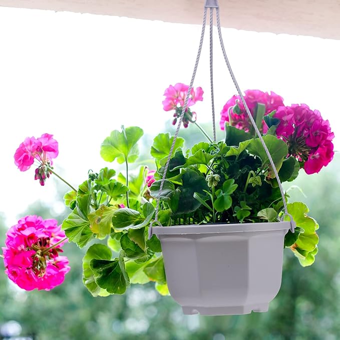 Roshtia 24 Pcs Hanging Plastic Planter Pot with Hook Flower Pots Baskets Hanging Nursery Planter Holder for Outdoor Indoor Plant Garden(Ceramic White,6.7 Inch)