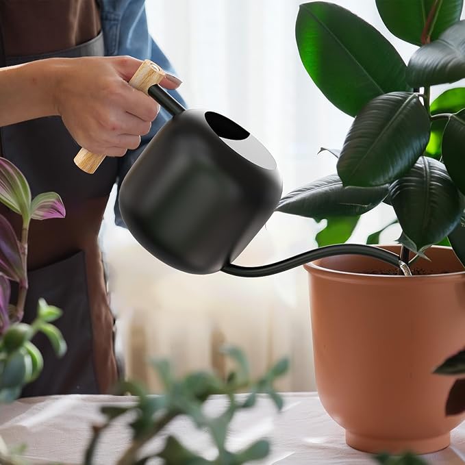 Green Moon Water Can Indoor Plant Black 1.2L/41oz with Long Spout Small Water Can Metal Watering Can Pot for Indoor House Plant Bonsai Outdoor Garden Flowers Decorative