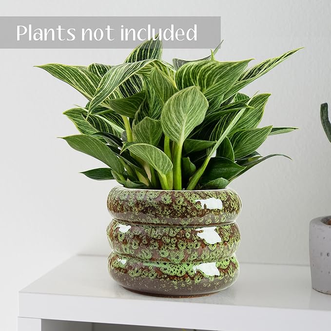Ceramic 6 inch Plant Pot - Planter for Indoor Plants with Drainage Hole, Flower Pots for Orchid, Succulent,Outdoor Plants, Modern Glaze Planters for Home Office Decor Gift