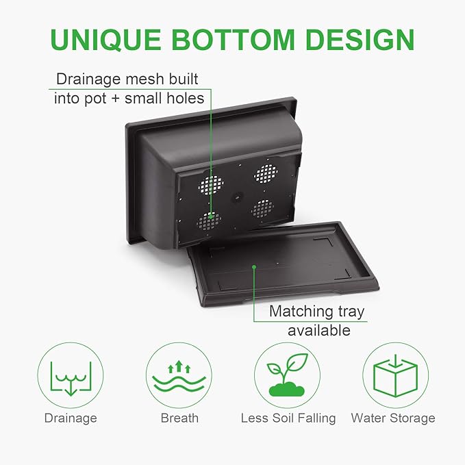 GROWNEER Bonsai Pots 3 Packs 11 Inch Bonsai Training Pot with Humidity Trays and Repotting Mat Tree Starter Kit Growing Planter for Garden Yard Office Indoor Outdoor