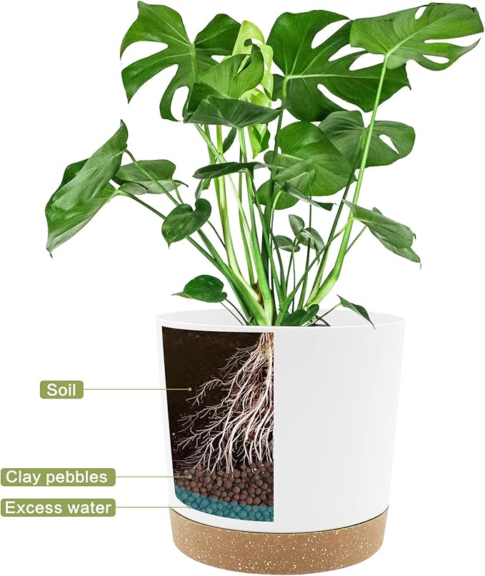 QCQHDU 6.5 inch Plant Pot, 2 Pack Planters for Indoor Plants with Drainage Holes & Saucer, Outdoor Flower Pots Home Garden Modern Decor