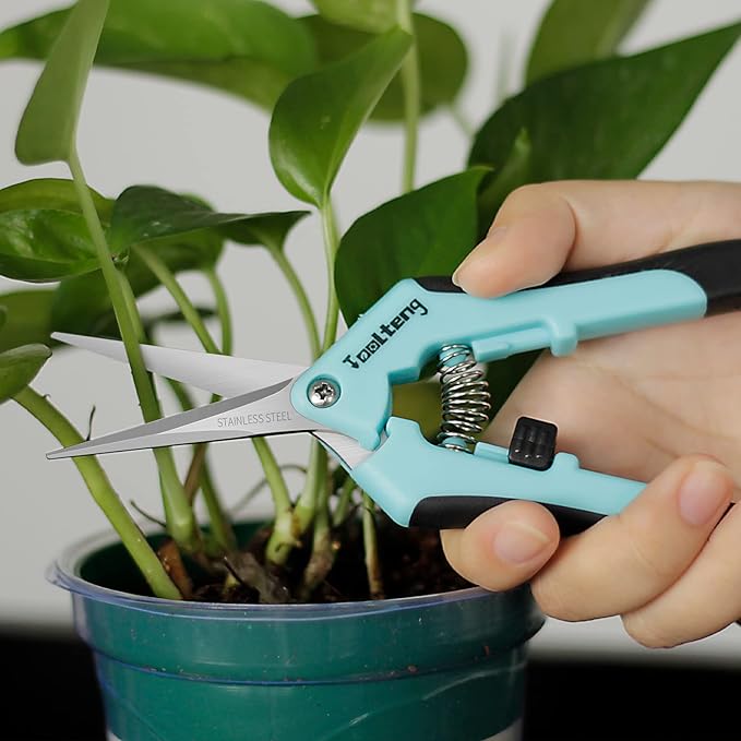 1 Pack Pruning Shears, Garden Trimming Scissors, Gardening Hand Pruning Snips, Titanium Coated Precision Bonsai Pruning Shears, Convenient and Efficient Flower Cutters (Blue)