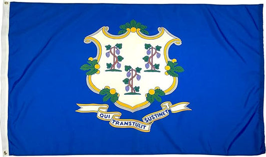 FlagSource Connecticut Nylon State Flag, Made in the USA, 5x8'