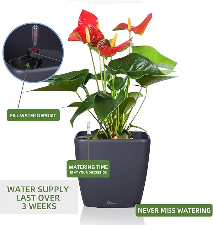 Dexceder 9x8 Self Watering Planter Indoor Outdoor, Inner Mat Design, Thickened Table Flower Plant Pot with Water Level Indicator (Slate Gray Matte)