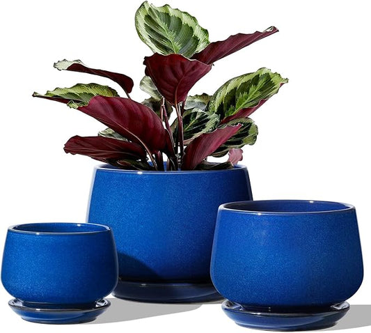 LE TAUCI Plant Pots, 4.1+5.1+6.5 inch, Set of 3, Ceramic Planters with Drainage Hole and Saucer, Indoor Flower Pot with Hole Mesh Pad, Gifts for Mom, Sapphire Blue