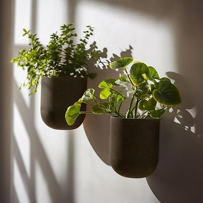 LA JOLIE MUSE Wall Hanging Planters for Indoor Plants, Hanging Flower Pots for Air Plants Succulent, Set of 2, 6 Inch, Iron Rust