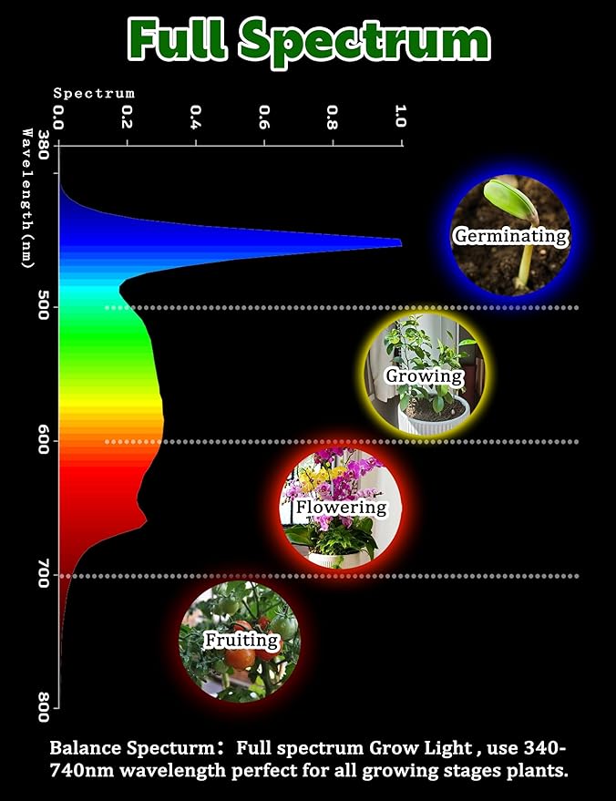 Red Blue 5000K LED Grow Light Bulbs Full Spectrum A19 Bulb, E26 12W Sun Grow Plant Light Bulbs 100w Equivalent, Plant Growing Lamp Bulbs for Flowers, Seed Starting, Indoor Growing, Greenhouse, 6pack