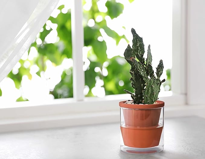 D'vine Dev 4 Inch Design Self Watering Pot for Indoor Plants, Terracotta Planter with Cylinder Glass Cup, Set of 1, 37-X-A-1