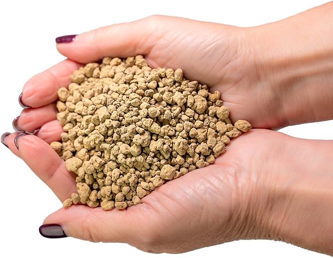 Japanese Hyuga Pumice - Premium Additive for Orchid & Bonsai Tree Soil |Professional Imported Sifted and Ready to Use (4 Quart Bag)