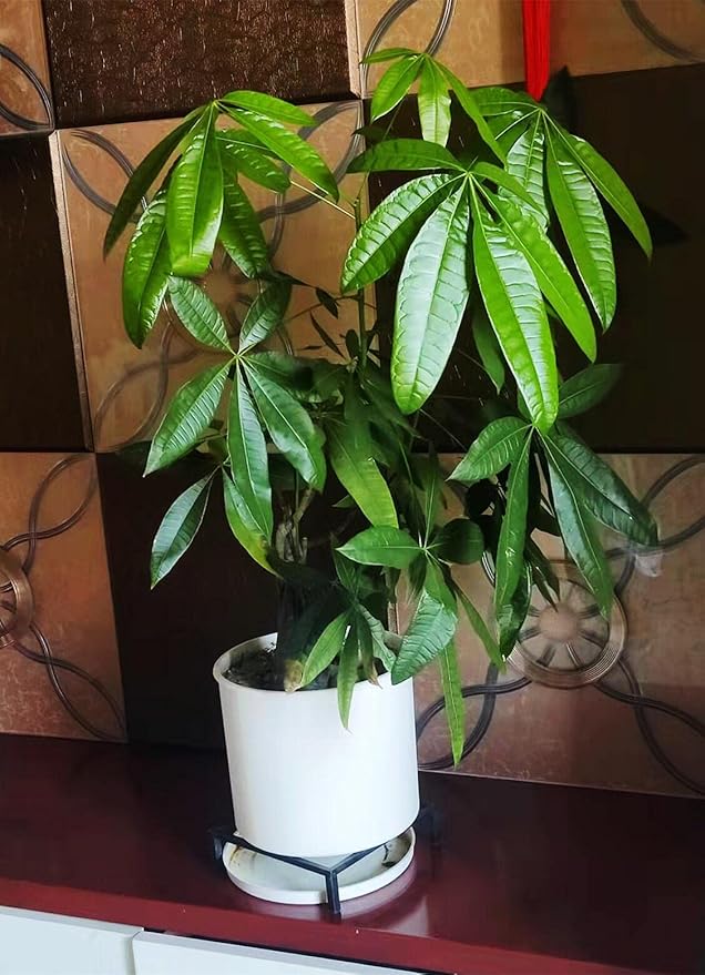 9.8" Metal Heavy Duty Potted Plant Stand Flower Pot Holder with Saucer Indoor Outdoor Rustproof Iron Garden Container Square Supports Rack for Planter ,2 Pack(iron color )