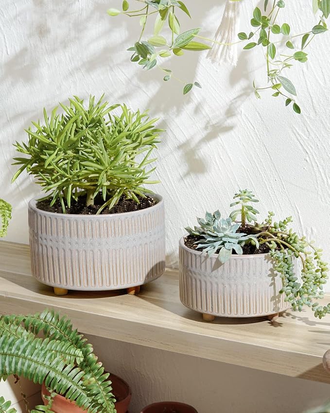 LE TAUCI Succulent Pots, 6.5+8 Inch Ceramic Indoor Plant Pot with Drainage Hole, Modern Round Decorative Flower Pot, Set of 2, Reactive Glaze Star White