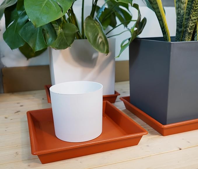 Square Plant Saucer 16 Inch 2 Pack, Plant Stand Plant Trays for Pots Heavy Duty Plastic Plant Saucers for Indoors Outdoors, Flower Pot No Holes Terracotta Plant Lover Gardening Gifts