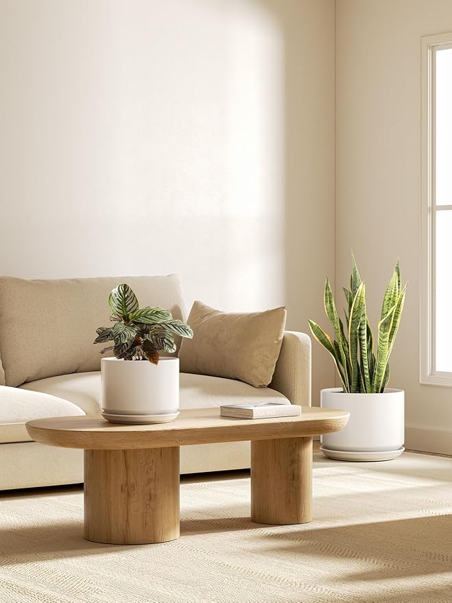 LE TAUCI Ceramic Plant Pots, 8 + 10 Inch Pots for Plants, Indoor Plant Pots for Home and Office, Modern Flower Pots Fit Mid Century Plant Stand, Planters with Drainage Holes and Saucers, White