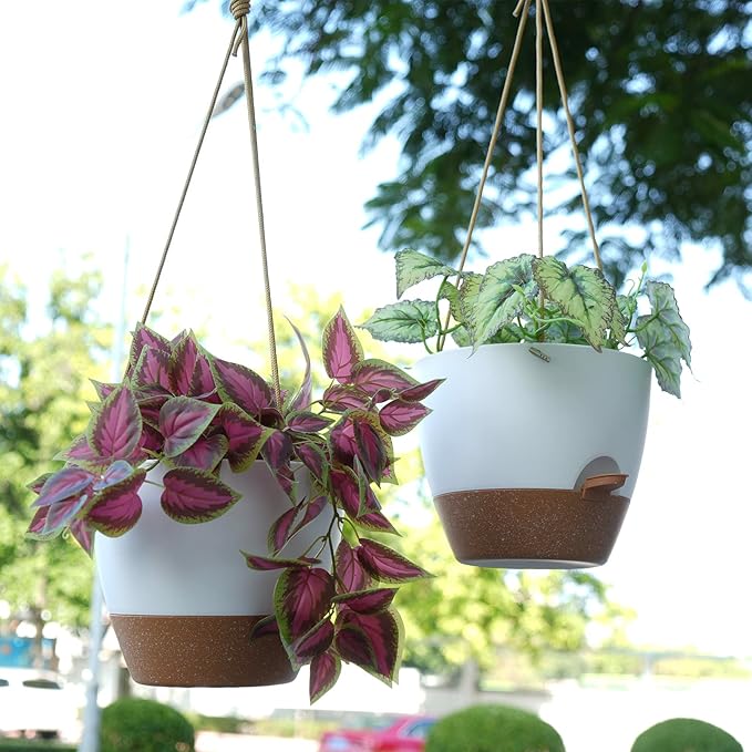 8 inch Hanging Planters, 2 Pack Self Watering Hanging Pots with 20oZ Deep Reservoir for Indoor Outdoor Plants Flowers, White with Brown