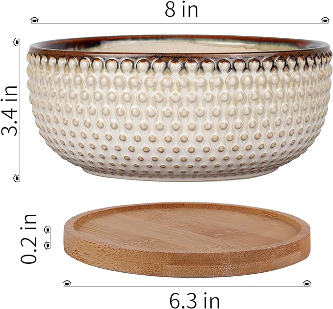 8 Inch Ceramic Succulent Shallow Planter Pot with Drainage Hole and Saucer Bonsai Planter for Indoor Plants White