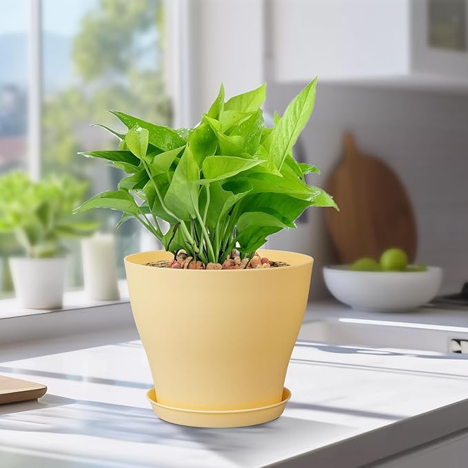 6 inch Plastic Nursery Pots, Seedling Pots, 16 Pack Plant Pots for Small Indoor Outdoor Plants, Flower Pots with Drainage Holes and Saucers, Decorative Planters for House Plants, Colorful