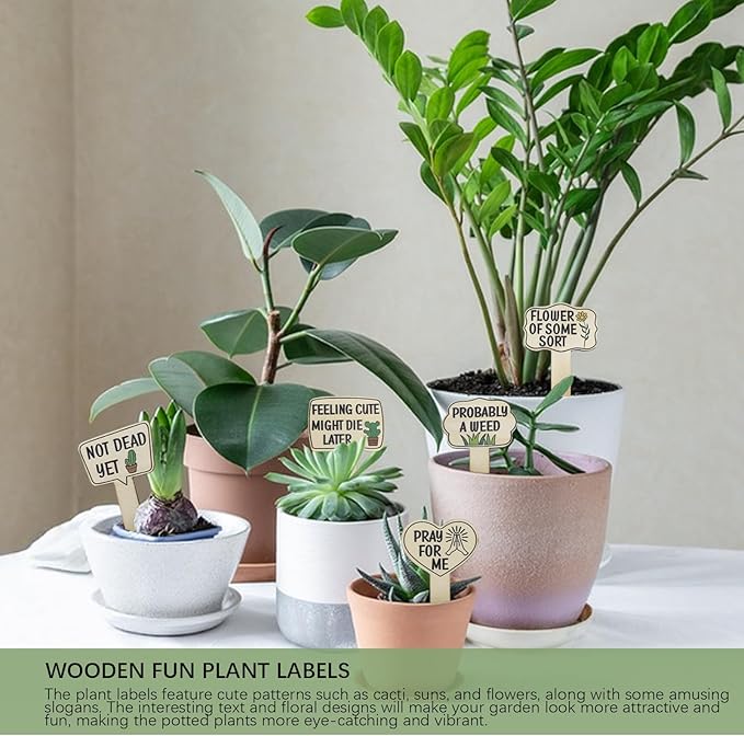 15pcs Funny Plant Signs Garden Markers Wooden Plant Labels Tab with Interesting Words Cute Patterns for Indoor and Outdoor Potted Used to Distinguish Potted Plants