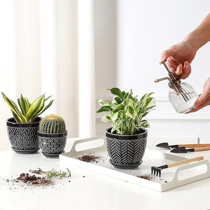 Sureasy Succulent Pots, 3.5 Inch Flower Pots for Indoor Plants, Small Plant Pots with Saucer & Drainage, Decorative Ceramic Planters for Succulent, Cactus, Set of 4, Black