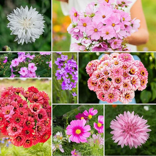 Eden Brothers Tickled Pink Flower Mixed Seeds for Planting, 1/4 lb, 120,000+ Seeds with Cosmos, Cornflower, Zinnia | Attracts Pollinators, Plant in Spring or Fall, Zones 3, 4, 5, 6, 7, 8, 9, 10
