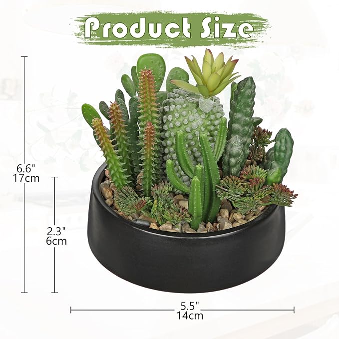 DILATATA Artificial Cactus Plants in Pot 5.5 Inch Fake Succulents Arrangement Potted Plant in Black Ceramic Planter Bowl for Home Office Desk Shelf Living Room Bedroom Bathroom Decor