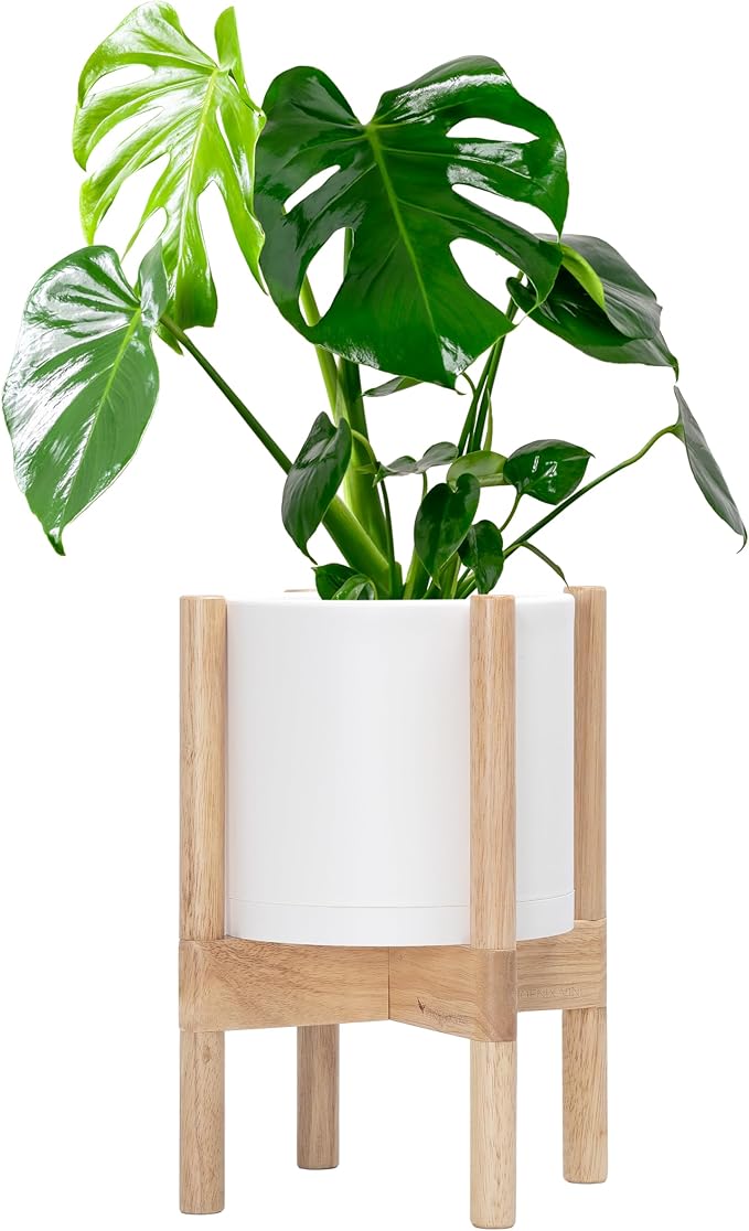 D'vine Dev Planter Pot with Stand - 8 Inch Plastic Cylinder Flower Pot with Wood Planter Holder for Indoor, Matte White Pot + Natural Stand, 55-C-J-1