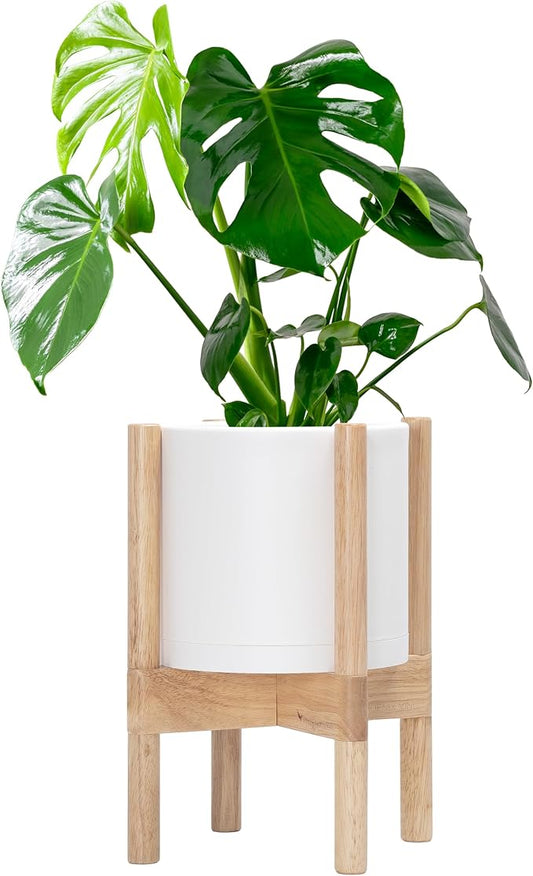 D'vine Dev Planter Pot with Stand - 8 Inch Plastic Cylinder Flower Pot with Wood Planter Holder for Indoor, Matte White Pot + Natural Stand, 55-C-J-1
