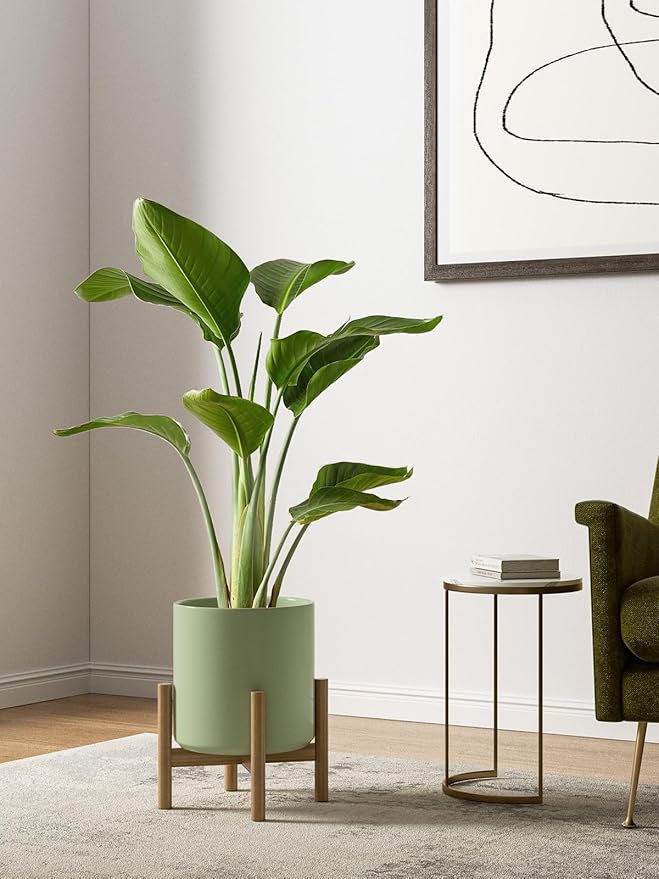 LE TAUCI Large Plant Pots Set, 10/8/6 Inch Ceramic Planters for Indoor Plants, Mid-Century Modern Flower Planter Pots with Drainage Hole and Plug, Round Planter, Set of 3, Reactive Glaze Olive Green