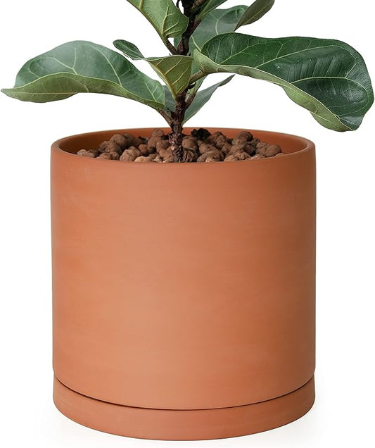 D'vine Dev Large 10 Inch Terracotta Plant Pot with Drainage Hole and Saucer, Round Cylinder Planter Pot for Indoor Plants, 40-X-A-5