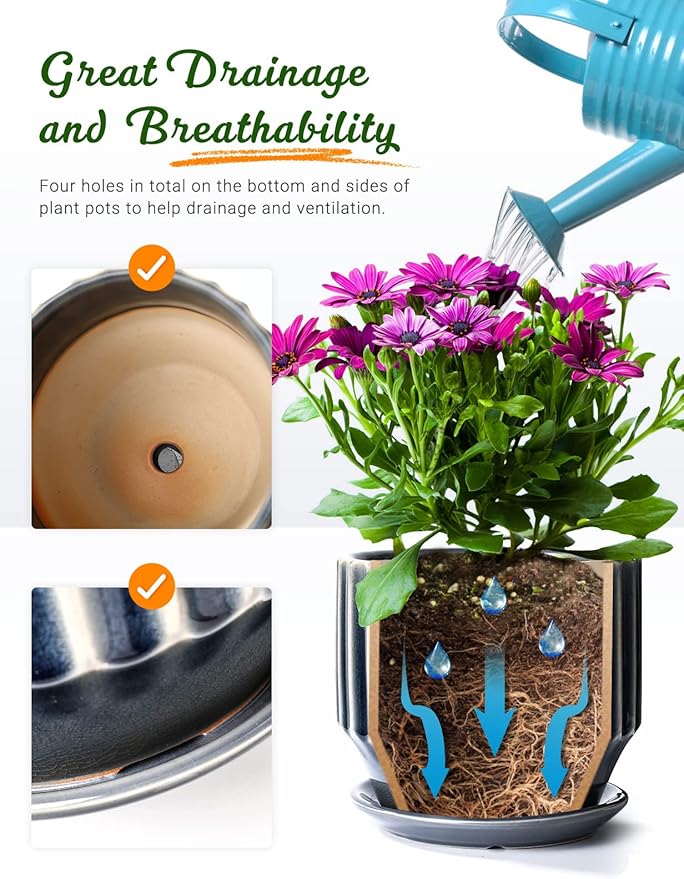 AISBUGUR Plant Pots 6 inch Ceramic Pots for Indoor Plants Set of 2 Flower Pots Unique Crackle Glaze Design Plant Pots with Drainage Hole and Saucer Come with Drainage Nets (Grey)